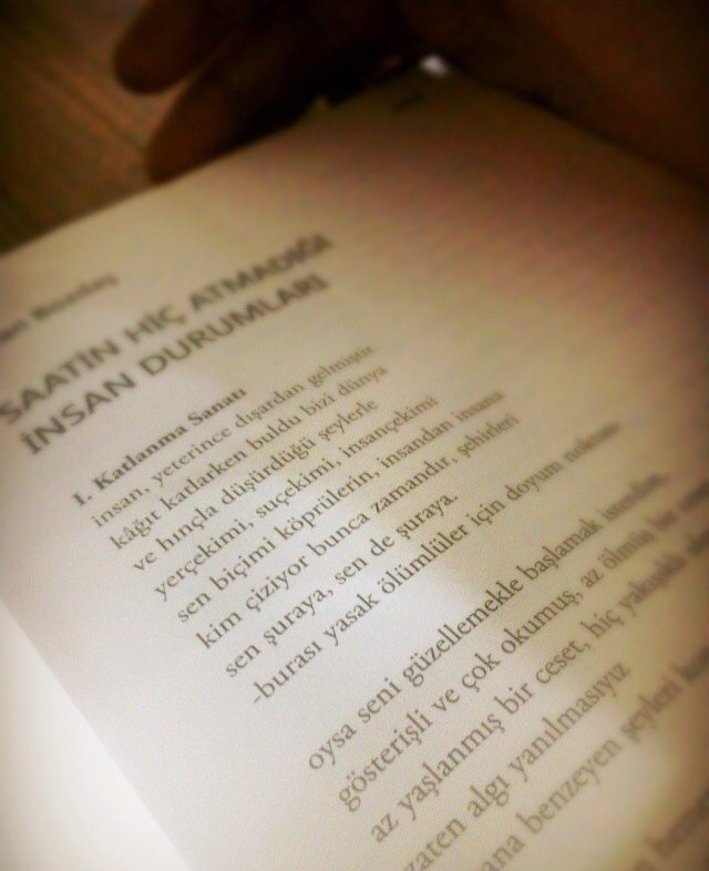 sonu şöyle bitiyor şiirin;
"ben insan. yeterince dışardan."