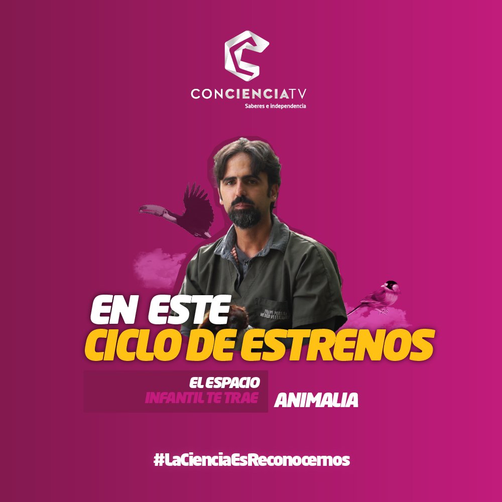 oncti_ve's tweet photo. Conoce sobre el mundo animal con @CanalConciencia y disfruta de Animalia los martes 4pm #LaCienciaEsReconocernos https://t.co/oqsoqbl99k
