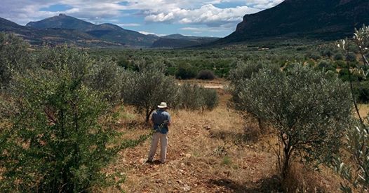 OASGrandRiver's tweet photo. Join us tomorrow at 7:30pm in PAS 1241 at UW for an engaging talk by Prof. Scott Gallimore (Laurier) entitled "Greek Survey in the 21st Century: The Western Argolid Regional Project"! https://t.co/0jLrK8z6Qv
