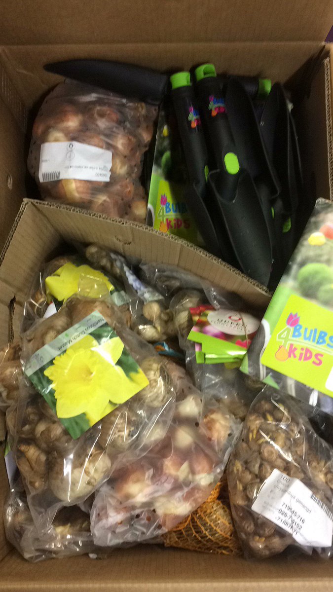 600 bulbs for <a href="/glenfromep/">Glenfrome Primary</a>!! Sooo exciting