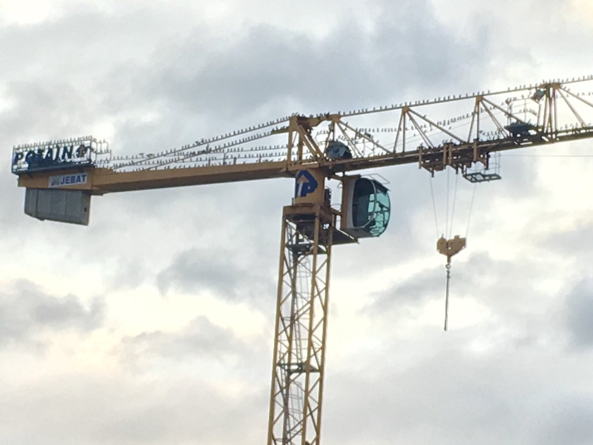QualiGestion's tweet photo. Des étourneaux et une grue #novembre #lyon @QualiGestion  #ypama et #cap454 
Retrouvez nous sur notre site https://t.co/N0Qd218I8Z 
Spécialisé dans le BTP nous vous proposerons LE renseignement financier dont vous avez besoin https://t.co/KlQwwvt63N