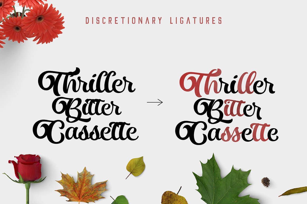 PixeloDeals's tweet image. Deal's ending soon - A collection of 61 high-quality fonts for every designer buff.ly/2zztAny #fonts bundle #designfonts #deal