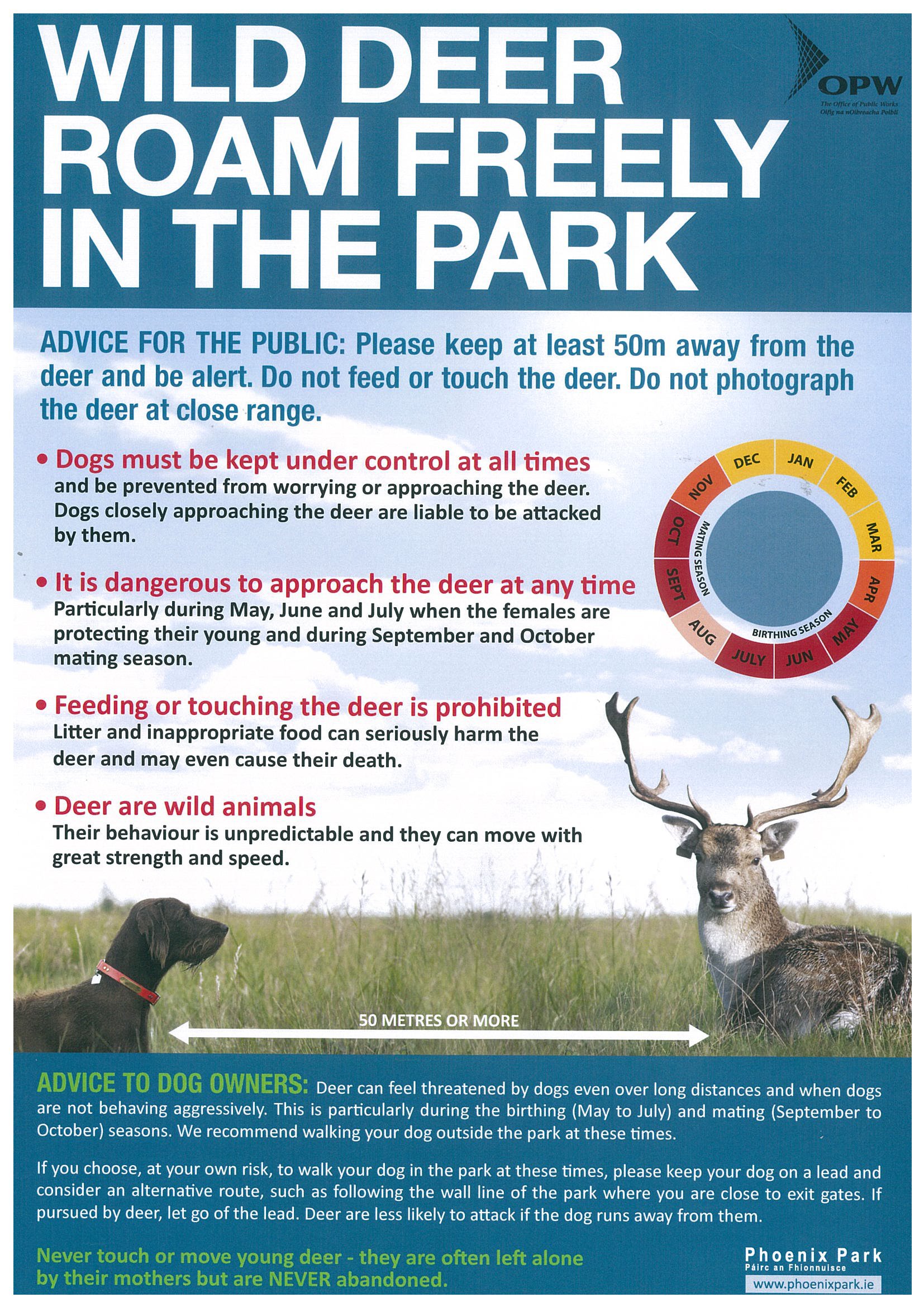 Will Dogs Scare Deer Away