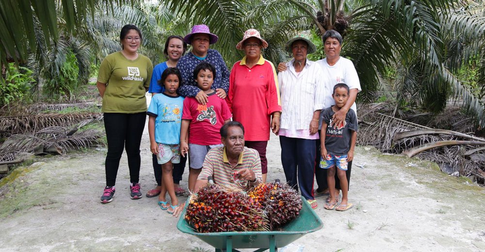 proforest's tweet image. Exclusive Behind-The-Scenes Look Into The Life Of A Malaysian #PalmOil Farmer vulcanpost.com/625432/malaysi… @WildAsia @RSPOtweets