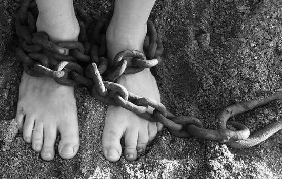 Explore Into tweet media