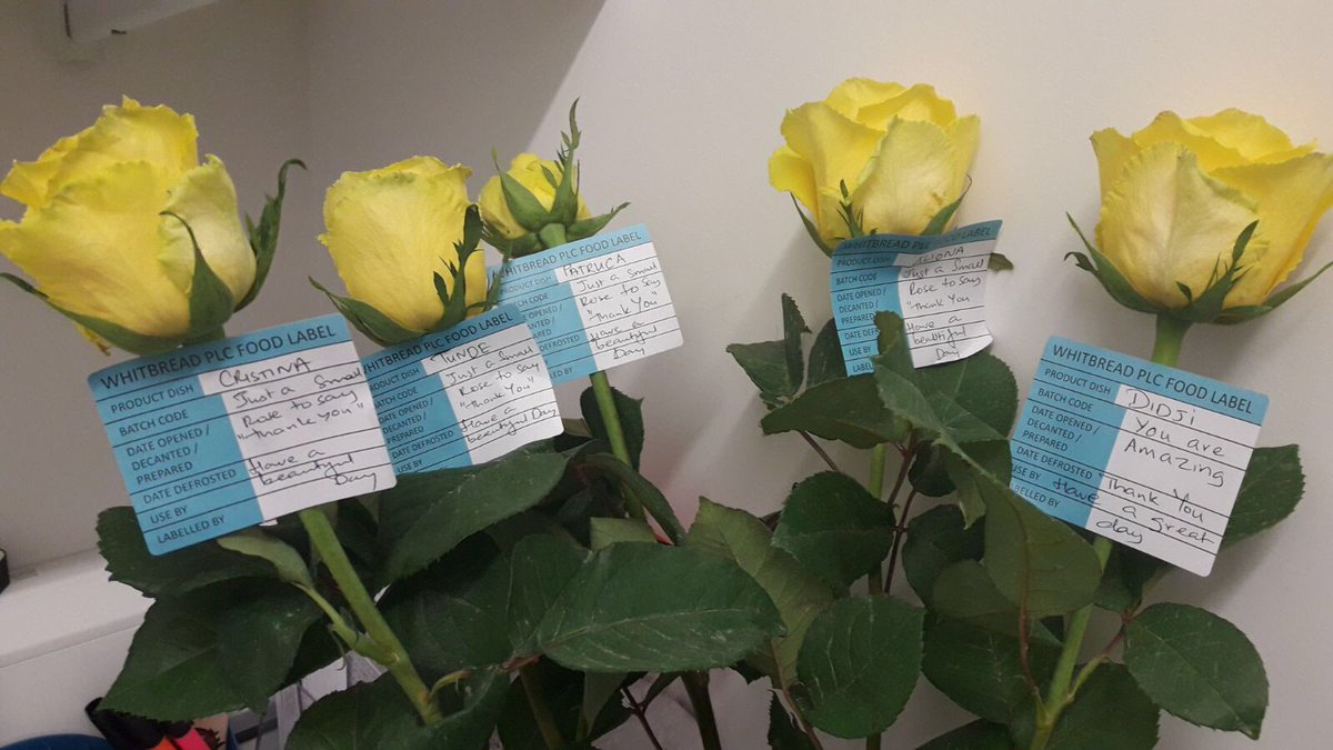 How nice to start you day with a rose <a href="/Vib2015ctc/">Vib</a> you made our day 😍 <a href="/SDEBDD/">simon ewins</a> @JamesRider_PI @J_K_H_A_N <a href="/placemadebyyou/">A Place Made By You</a> <a href="/londonCSPI/">LondonCentralSouthPI</a>