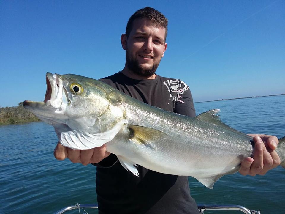Tallahams al  al Delta de l'Ebre <a href="/PESCADEPORTE/">PESCA DEPORTIVA</a>  <a href="/pescaeturismo/">Pesca e Turismo</a> @TurismoDeporAND