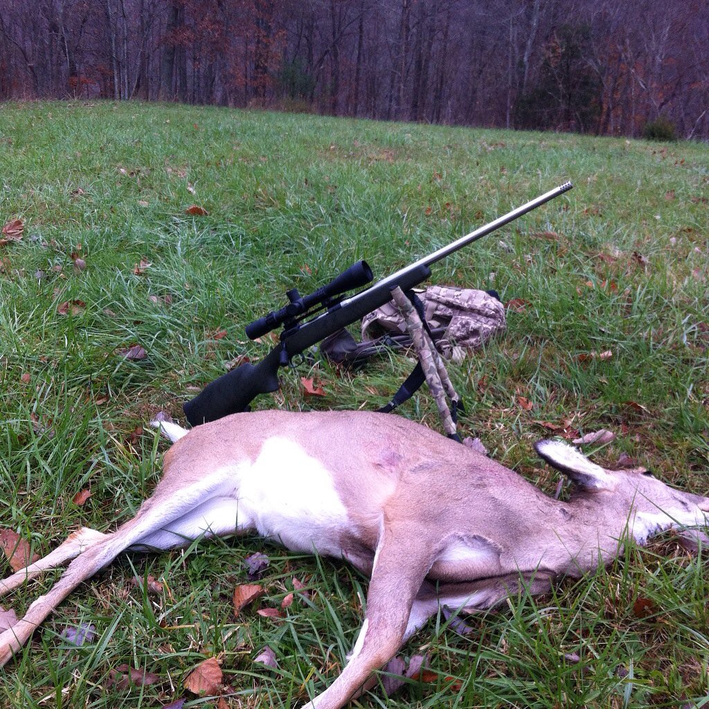 kypredtrpak's tweet photo. Got this nice Doe this morn. .284 with 168gr Berger VLD anchored her to the ground! https://t.co/dNHbmtloN7