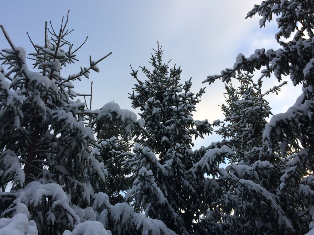 SkiVive's tweet photo. @Oxygene_Ski I’d be right here in Méribel #skislopes https://t.co/S2oYsxWdzW