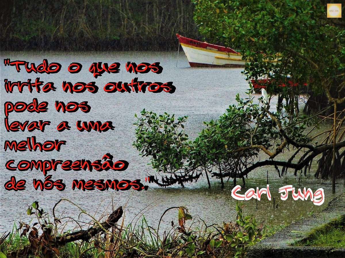 MensagemZen's tweet photo. Tudo o que nos irrita nos outros pode nos levar a uma melhor compreensão de nós mesmos. #CarlJung
📸#Peruíbe #SP #JuréiaItatins #RioUna #BarraDoUna
+ sobre #FotoMsg em https://t.co/kqk3vnK5rH
#DiaMundialDaGentileza #GentilezaGeraGentileza #Chuva #Natureza #MsgZen #Fotografia #SDV https://t.co/R9x5L0GPRJ