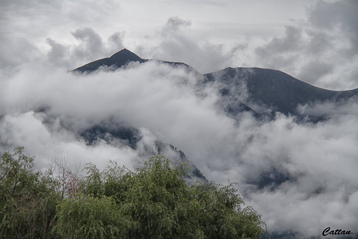 Cattan2011's tweet photo. Fragile Earth - Foggy and misty day at Nyingchi, Tibet, China #Tibet #China #landscapephotography #travelphotography #NaturePhotography #Explore2017 https://t.co/FeAYuwWYWN