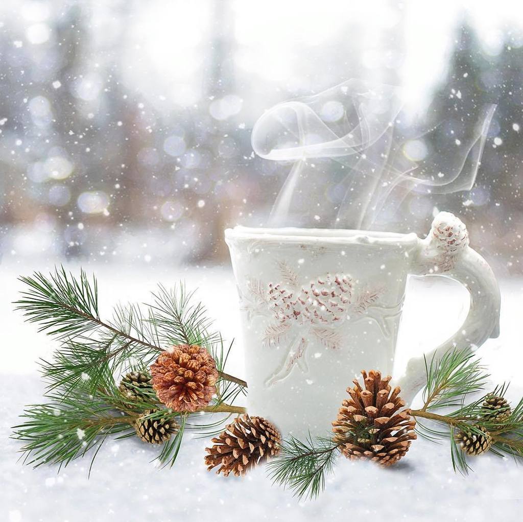 HouseofCones's tweet photo. Winter Wonderland, Are You Ready #pinecones #rusticdecor #farmhousestyle #rustic #rusticstyle #rusticchic #rustich… https://t.co/jGskgh3stB https://t.co/MpKK3iViSq