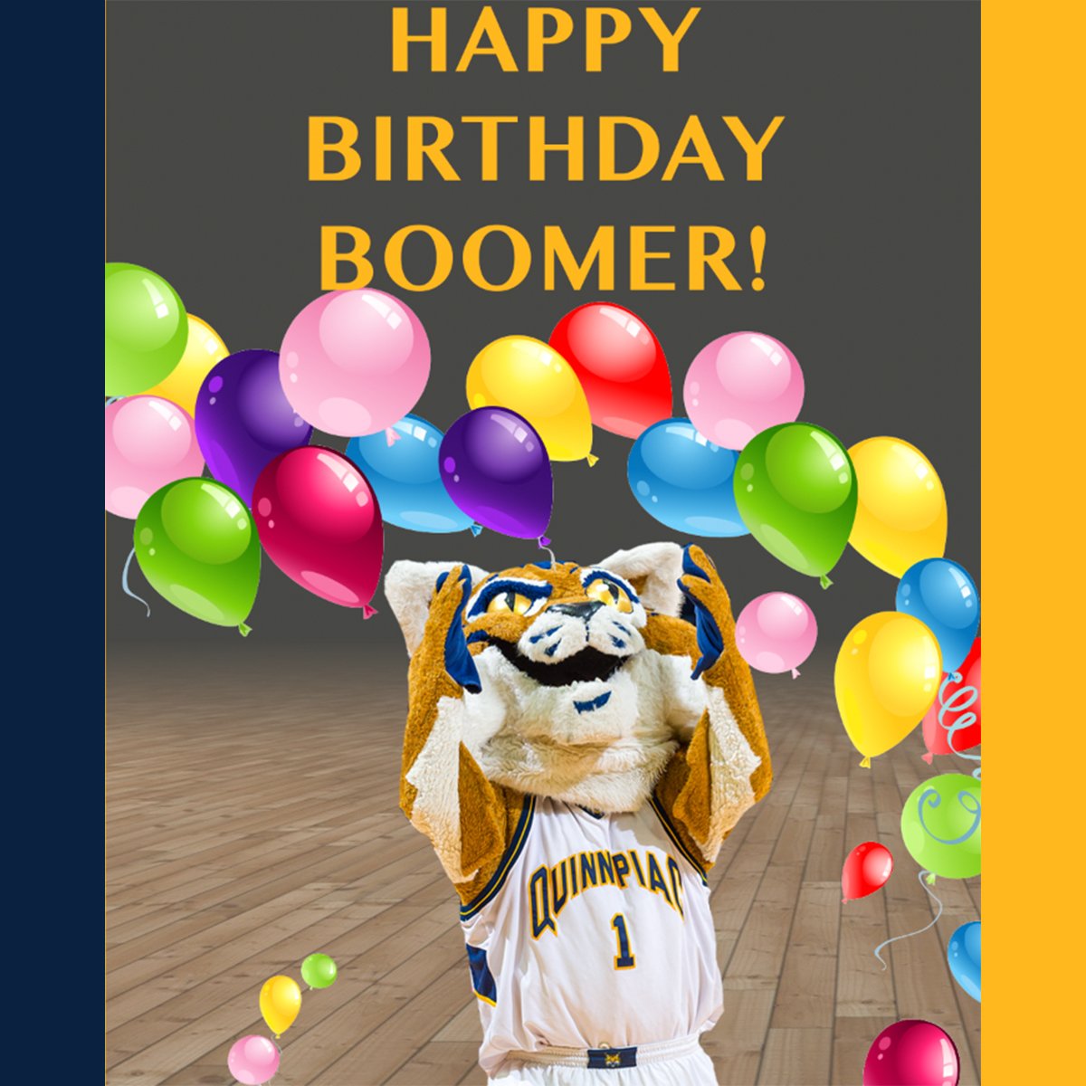 GoQUBobcats's tweet photo. Today is BOOMER'S BIRTHDAY! 🎈🎈🎈Come join your favorite mascot in celebrating his 15th birthday at the @QU_MBB game vs Brown at 7pm! Boomer's mascot friends will be in attendance - you won't want to miss this. #BobcatNation https://t.co/jhL8d4uJ68