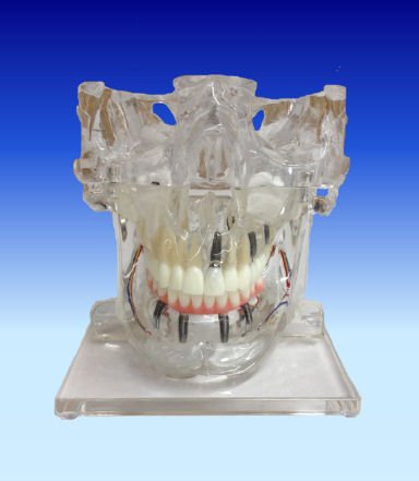 KilgoreInt's tweet photo. One of our Top Patient Education models will be back in stock soon!  Check us out at https://t.co/8pEtB4XGnN search RI-104 https://t.co/2jjbCti8NH