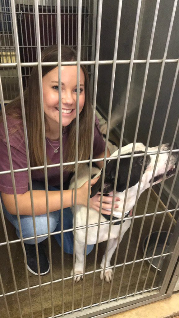 bryantstusen's tweet photo. StuSen loves The Humane Society🐶🐱 https://t.co/nKQpeKlNDt