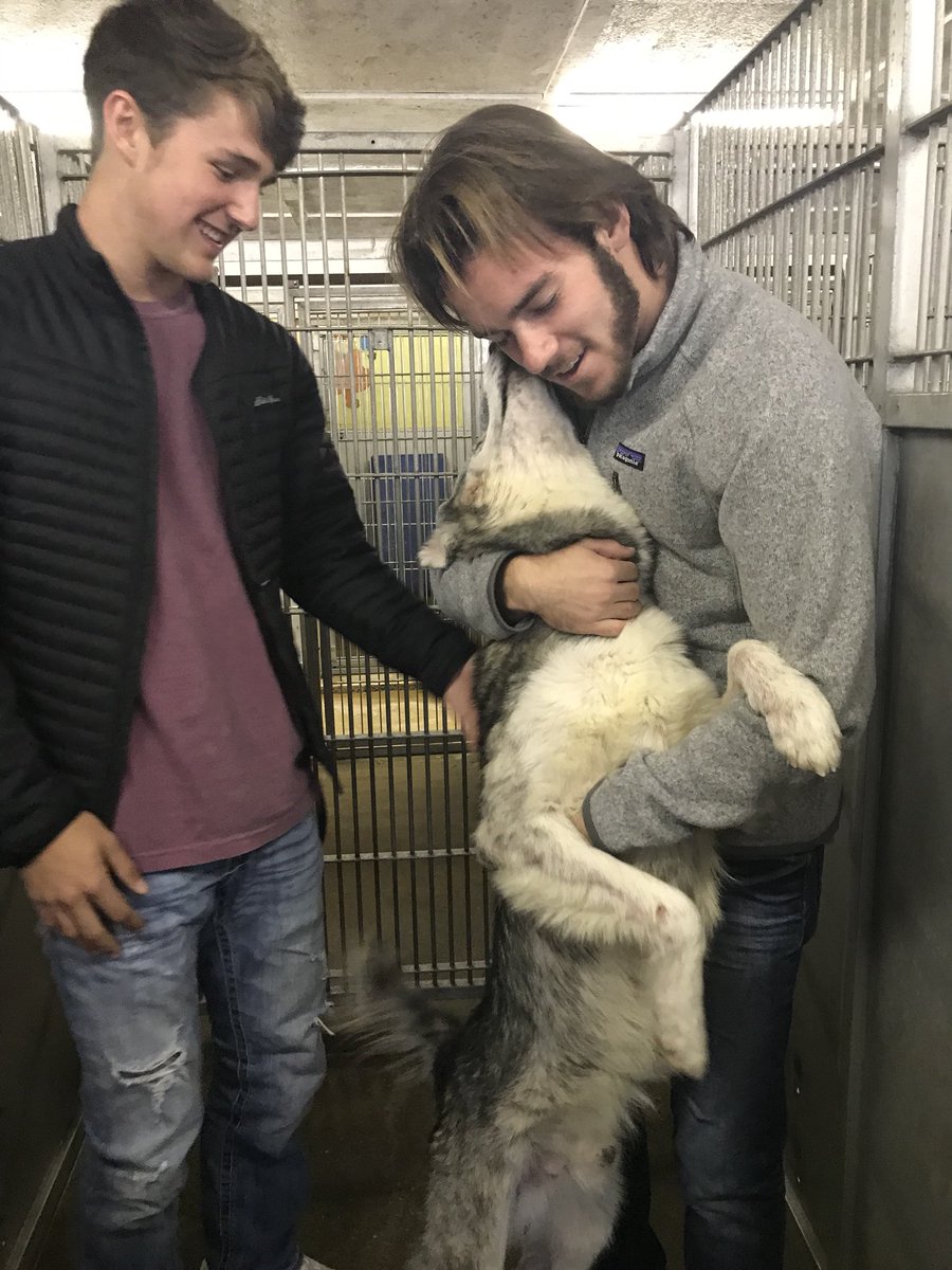 bryantstusen's tweet photo. StuSen loves The Humane Society🐶🐱 https://t.co/nKQpeKlNDt