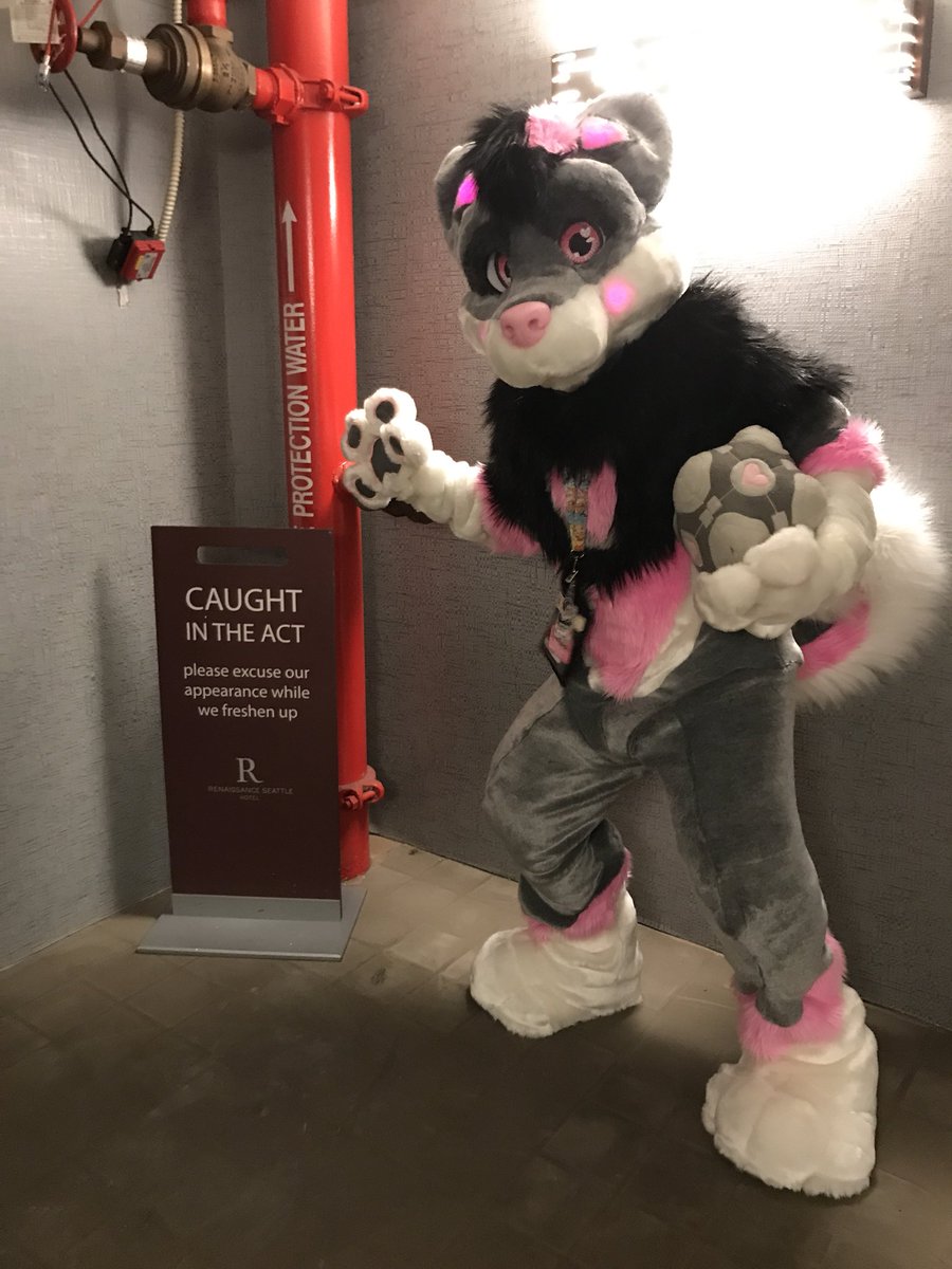 TaliSoundWave's tweet image. Thank you @anthronw for being amazing! #cubemoot did great at her first con! Also thank you @_FrackAttack and Brit for making the con so special and fun! #fursuit #companioncube #portal #malamute