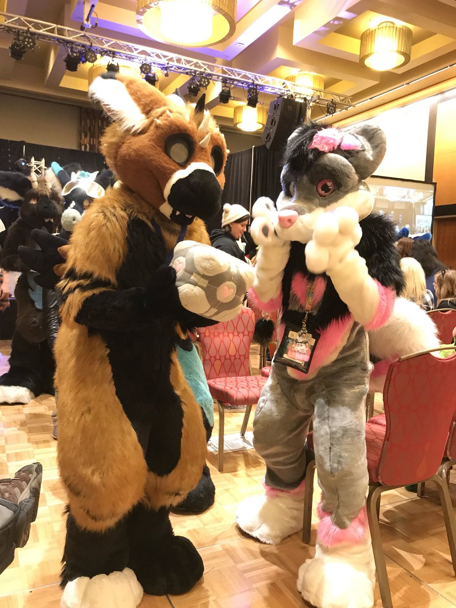 TaliSoundWave's tweet image. Thank you @anthronw for being amazing! #cubemoot did great at her first con! Also thank you @_FrackAttack and Brit for making the con so special and fun! #fursuit #companioncube #portal #malamute