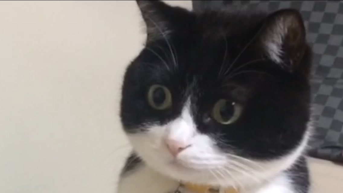 Z3PHYR_11's tweet image. #2Bae #2Booty