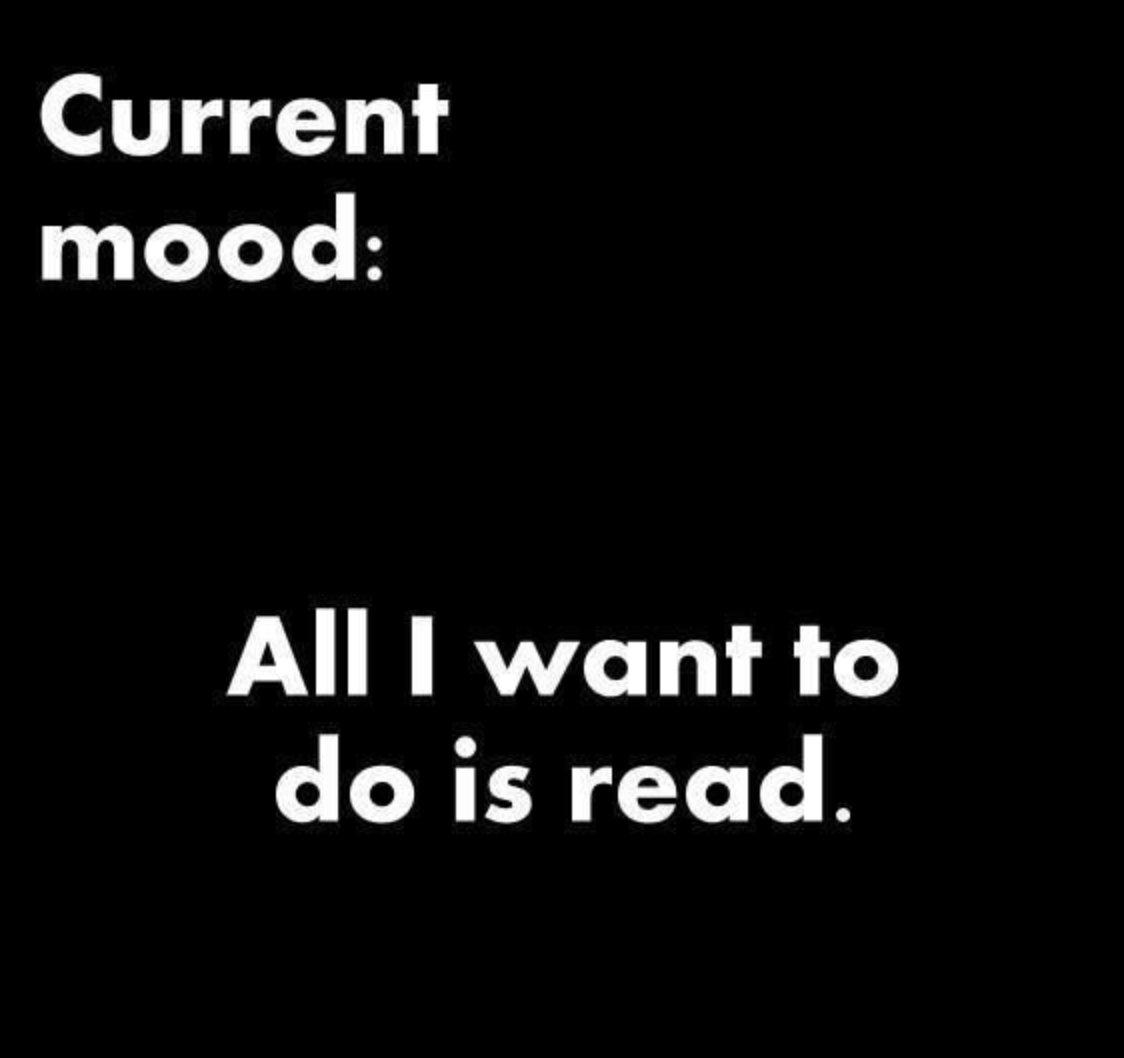 readfeed tweet media