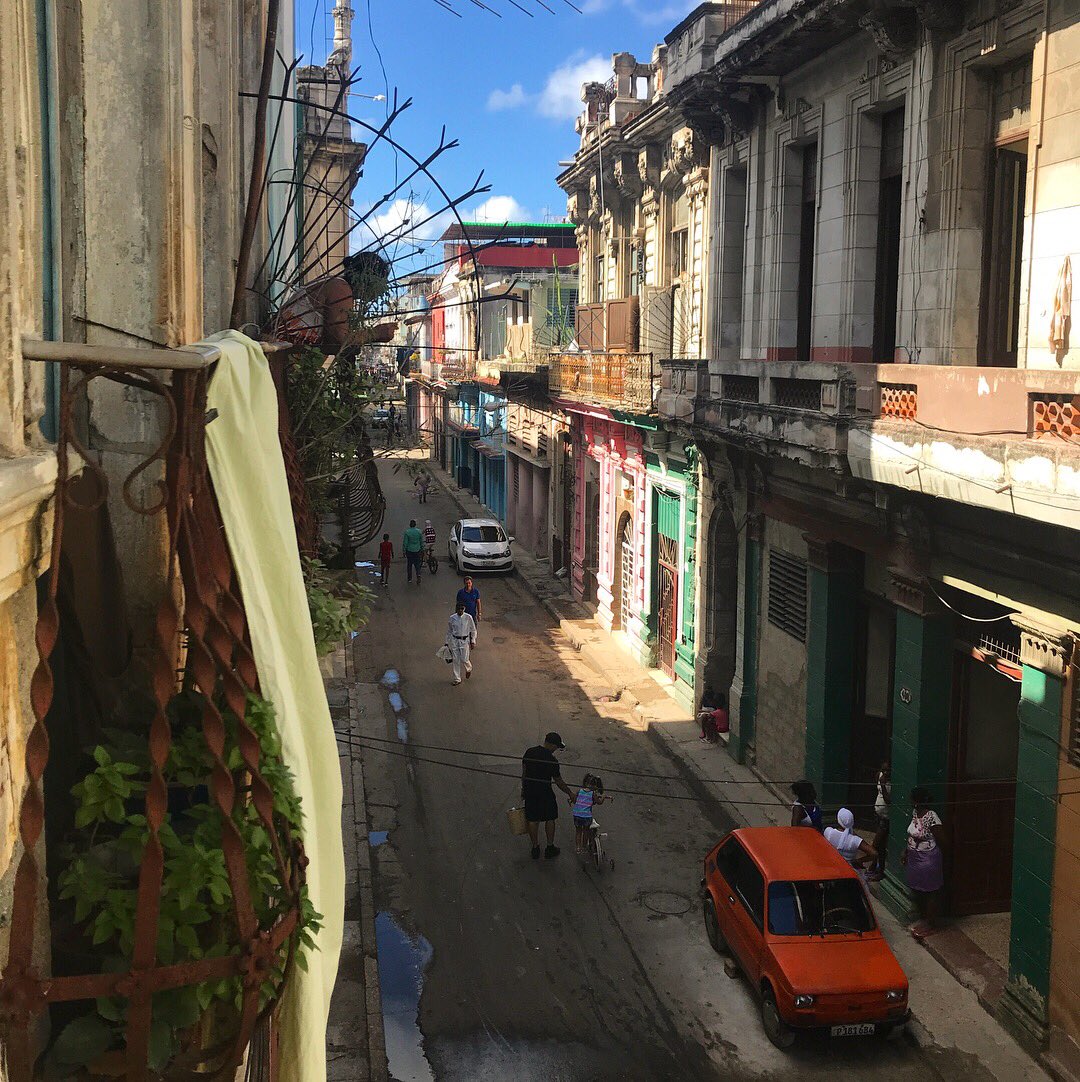 mai ishikawa sutton // @mai@social.coop tweet media