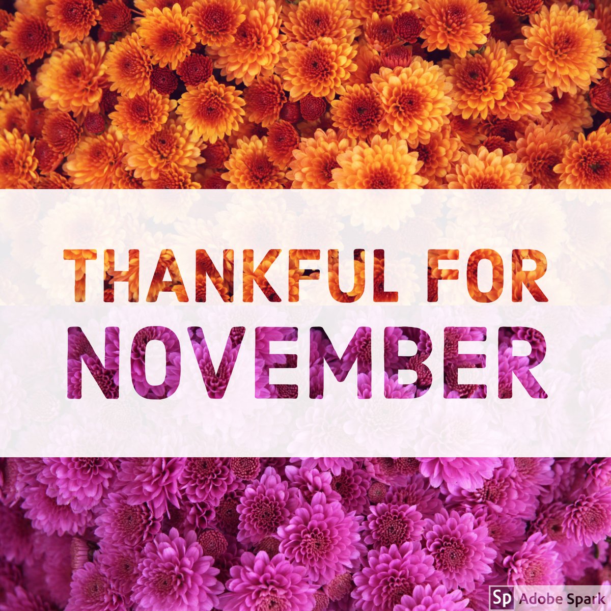 haslizzle's tweet photo. Still canโt believe itโs November already! Where did October 2018 go?? ๐โ๏ธ๐๐
๐ฝ๐ #thankfulfornovember #november #wheredidoctobergo #thanksgiving #thankful #fallpost https://t.co/DfvVEllCzQ