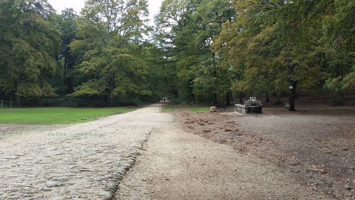 Lymphavitale's tweet photo. Chi ha voglia di una passeggiata emozionale al bosco Macchia Grande? Noi andremo domenica a gustarci l'autunno!
https://t.co/2jf4H2sCG2 https://t.co/zkD9wYqdtW