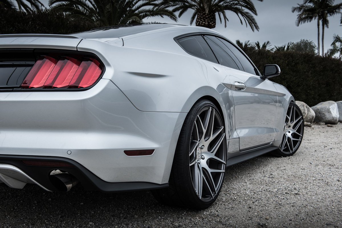 BD_Wheels's tweet photo. 🤩Our #MondayMotivation: An American silver muscle car on Blaque Diamond Wheels BD3. What's your motivation?

https://t.co/yS4QFwbhVf
#fordmustang #MustangMonday #bdwheels @stang_lovers https://t.co/GT12vnPz1G