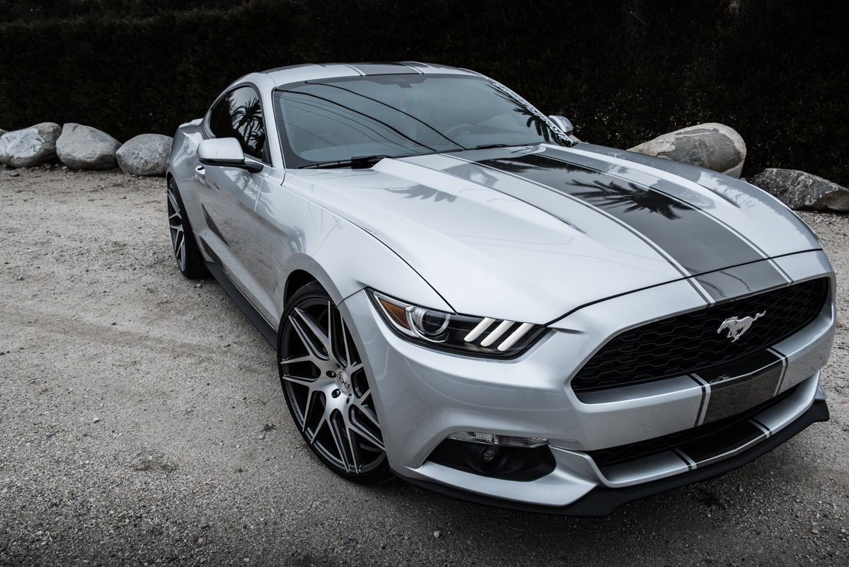 BD_Wheels's tweet photo. 🤩Our #MondayMotivation: An American silver muscle car on Blaque Diamond Wheels BD3. What's your motivation?

https://t.co/yS4QFwbhVf
#fordmustang #MustangMonday #bdwheels @stang_lovers https://t.co/GT12vnPz1G