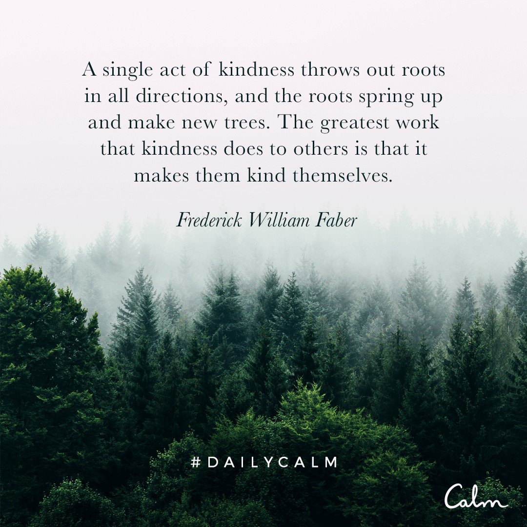 Be kind to yourself first so that you can be genuinely kind to others calm.com/quote?id=EySrJ… #DailyCalm