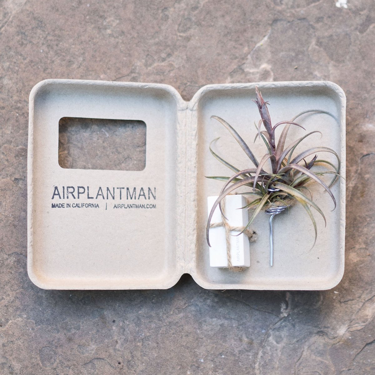 Check out our new Customer Spotlight with <a href="/airplantman/">josh rosen</a> Josh Rosen! Need eco friendly holiday present ideas?
goo.gl/u3ybVq
#packaginglove #greendesigns #ecogifts #greengifts #givegreen #HolidaysBeginHere