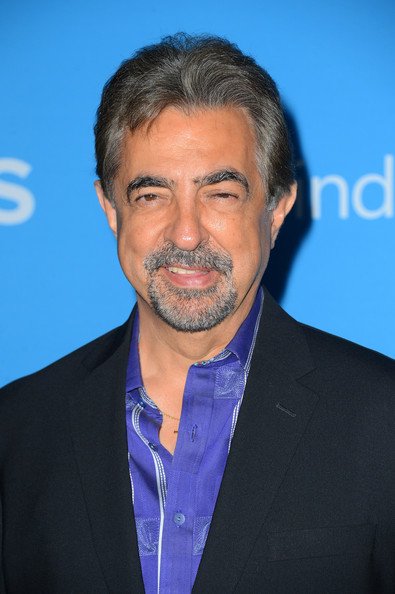 Happy Birthday Joe Mantegna 