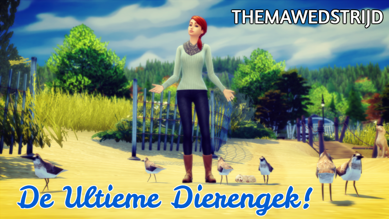 TownOfPlumbobs's tweet photo. Nieuw uitbreidingspakket? Nieuwe themawedstrijd! Wie gaat er dit keer met de badge vandoor?
#Themawedstrijd #TopForum #SimsForum
> https://t.co/tRPzCiwCqA https://t.co/W1A1i392QR
