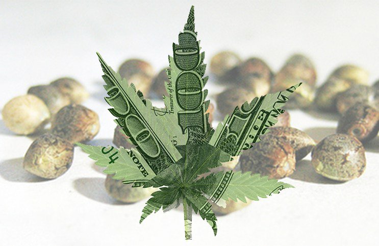 typeboard's tweet image. Why Has There Yet to be a Cannabis-Cryptocurrency Partnership? typeboard.com/2017/11/13/why…