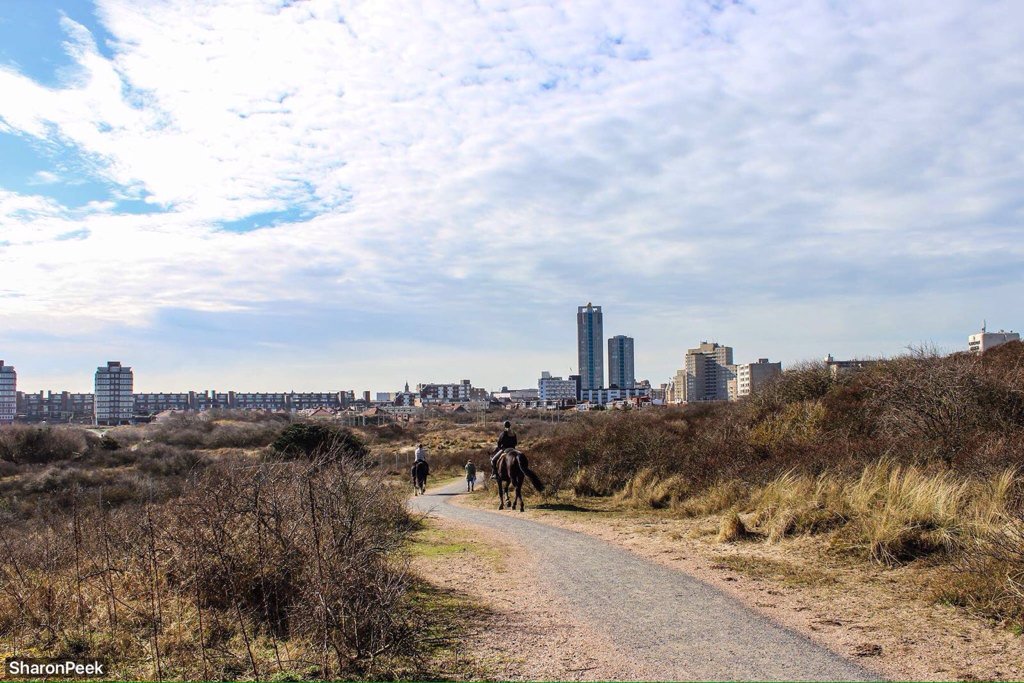 Scheveningen 🐴🌾☁️ -           📷InfinitePrints - #stad #fotografie #fotograaf #city #cityscape #skyline