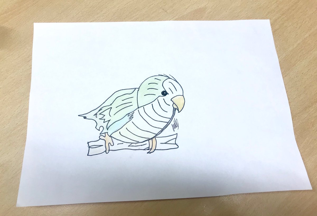 Percy_Parrot's tweet photo. Thank you to @Lpsmad28 for my lovely portrait! I have made it the banner at the top of my profile! #thankyou #parrotportrait https://t.co/IOx5b7Iosh