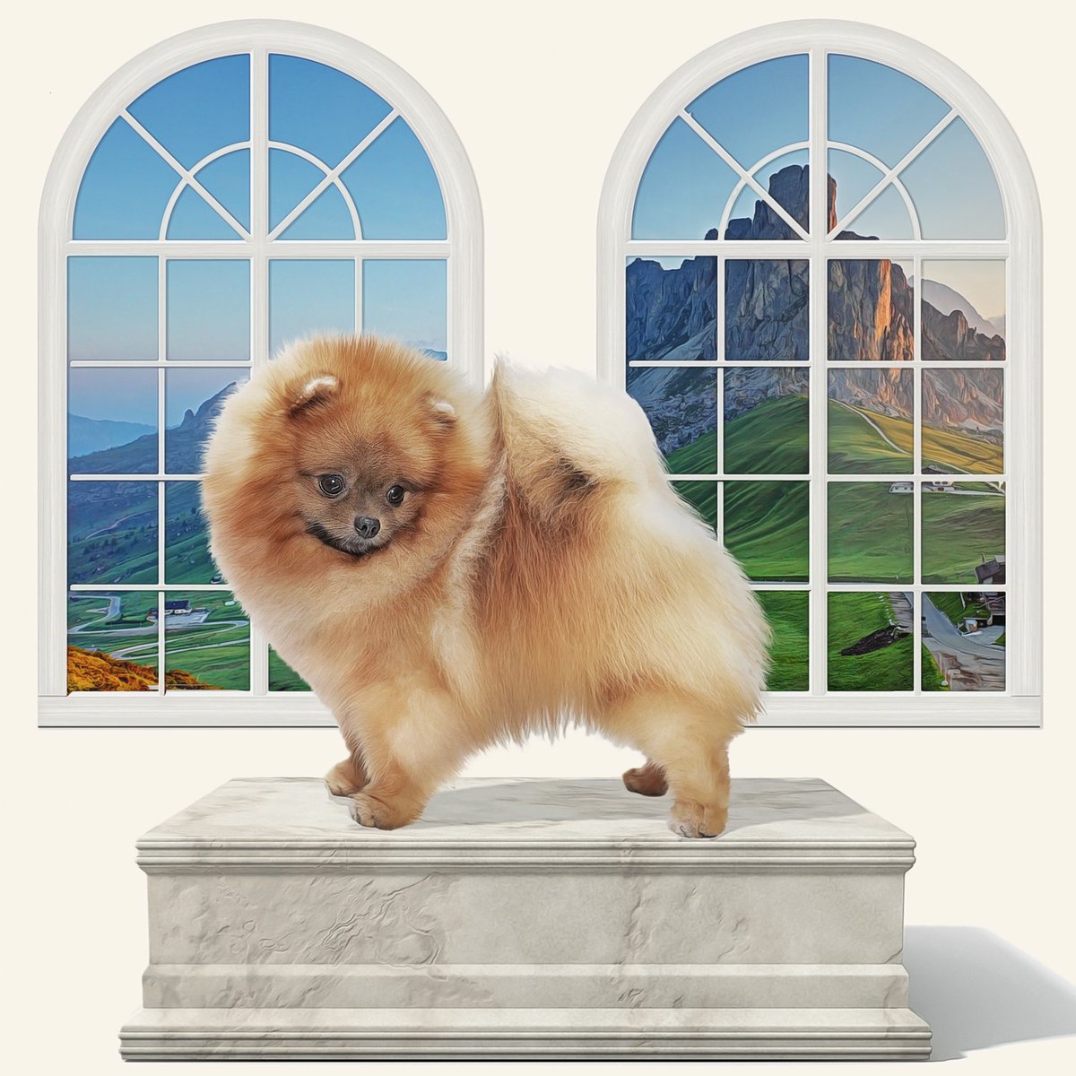 WhatThenStudio's tweet photo. #Pomeranian by @danielwoodesign
#pom #pomeranianlove #pomeranianpuppy #pomeranian #pomeraniansofinstagram #pompom #poms #pompoms #pomeriaan #pompuppy #pomerian #pomsky #pommymommy #pommy #pomlovers #pommylovers #pomeranianlovers #pomeraniandogs #pomsfam #pomoftheday #pomstagram https://t.co/eLyI9BZl0v