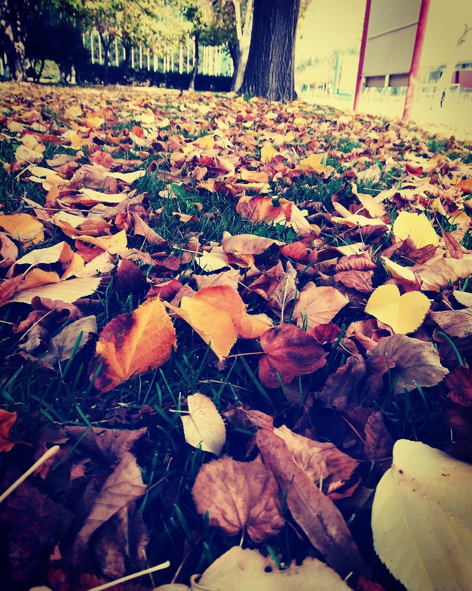 En zor sınavımız günahsızlaştırdığımız alışkanlıklarımız olacaktır