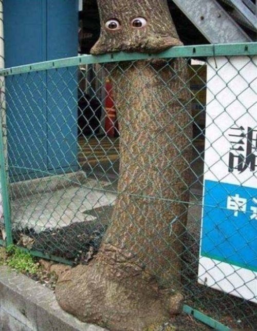 YardProduct's tweet image. So cute! #landscapinghumor #gardeninghumor