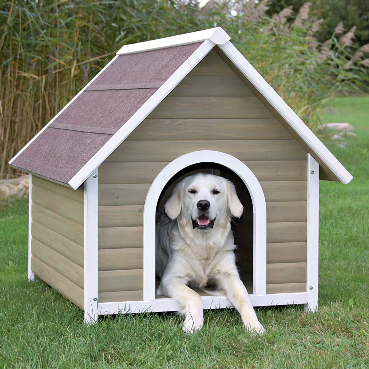 We are happy to help anybody with their home and renters insurance questions!