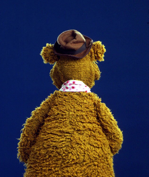 FozzieBear's tweet photo. Wouldn't this picture make a great stand-up tour poster? I can see the tagline now: "Fozzie's Back!" Ahhhh! #WockaWocka! https://t.co/b92LDVod9i