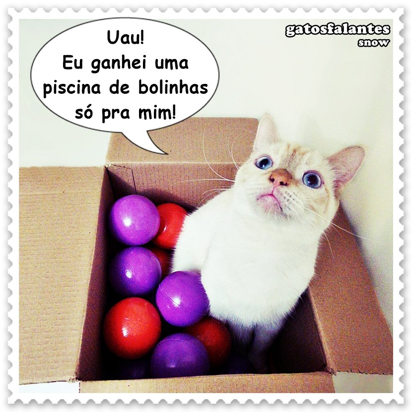 gatosfalantes's tweet photo. #gatosfalantes #snow #snowzinho #piscinadebolinhas #caixa #vipetbox #gatos #gatoslindos #gatosfofos #amogatos #euamogatos
💰 Use o cupom GATOSBRINCANTES e ganhe 5% OFF na assinatura de sua vipet box no site https://t.co/D7LxwArSea. https://t.co/m4dhDViKZs