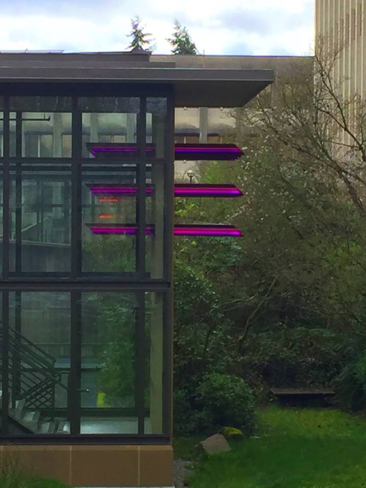 ReynoldsPolymer's tweet photo. Modern finishes & bright #acrylic colors welcome guests and complete the building at #WashingtonStateCapitol's East Campus.
#ReynoldsPolymerTechnology #InspirationDrivesInnovation #EngineeredAcrylic #BuildingtheImpossible #WeBuildTheImpossible #AcrylicExperts https://t.co/JVJo6ir6lL