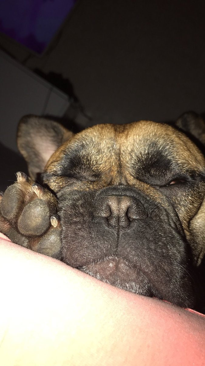 mathildaling's tweet image. finns ingen så söt som sally