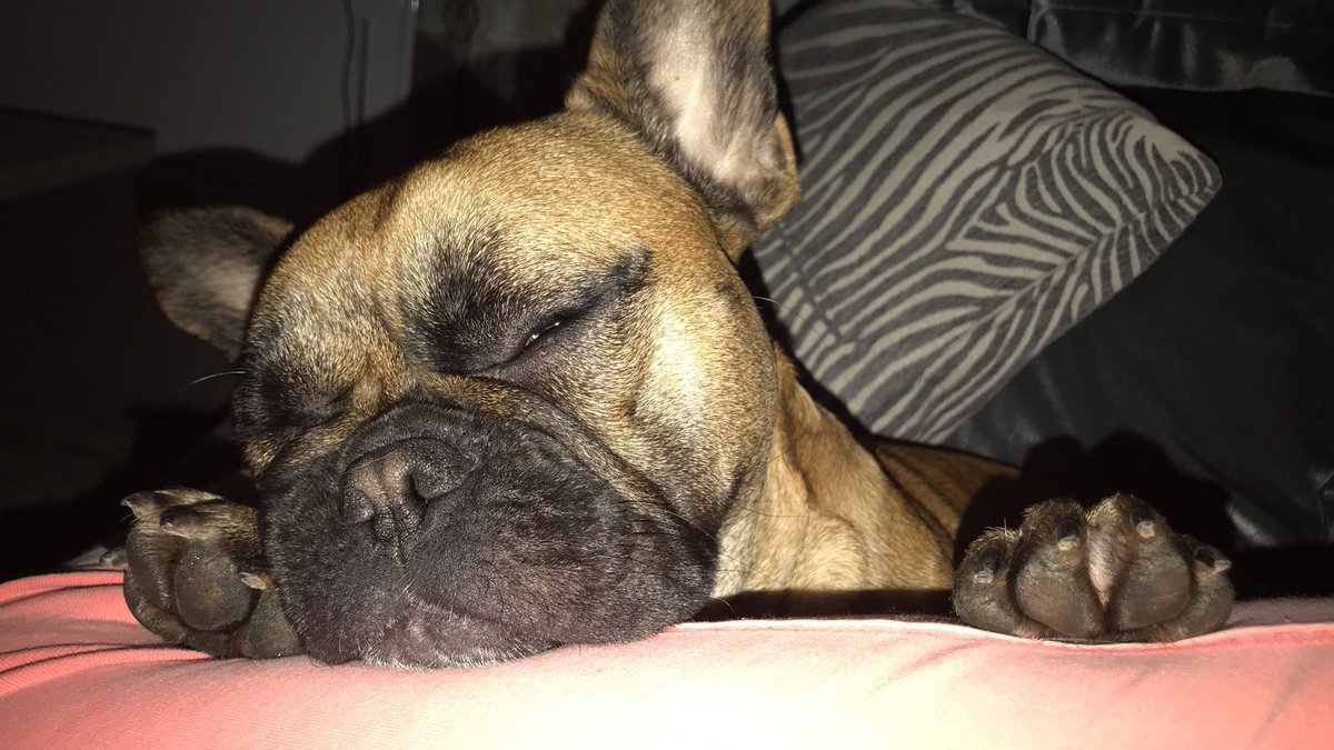 mathildaling's tweet image. finns ingen så söt som sally