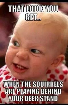 thesureshot_al's tweet photo. That look you get.. #hunting #outdoors #thesureshot #huntingprobs https://t.co/wjTEIsXF9l