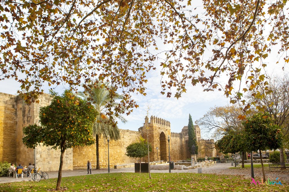 viveandalucia's tweet photo. El otoño le sienta de maravilla a #Córdoba cc @CordobaESP #viveandalucía #intensamente https://t.co/bye9GzbrHa