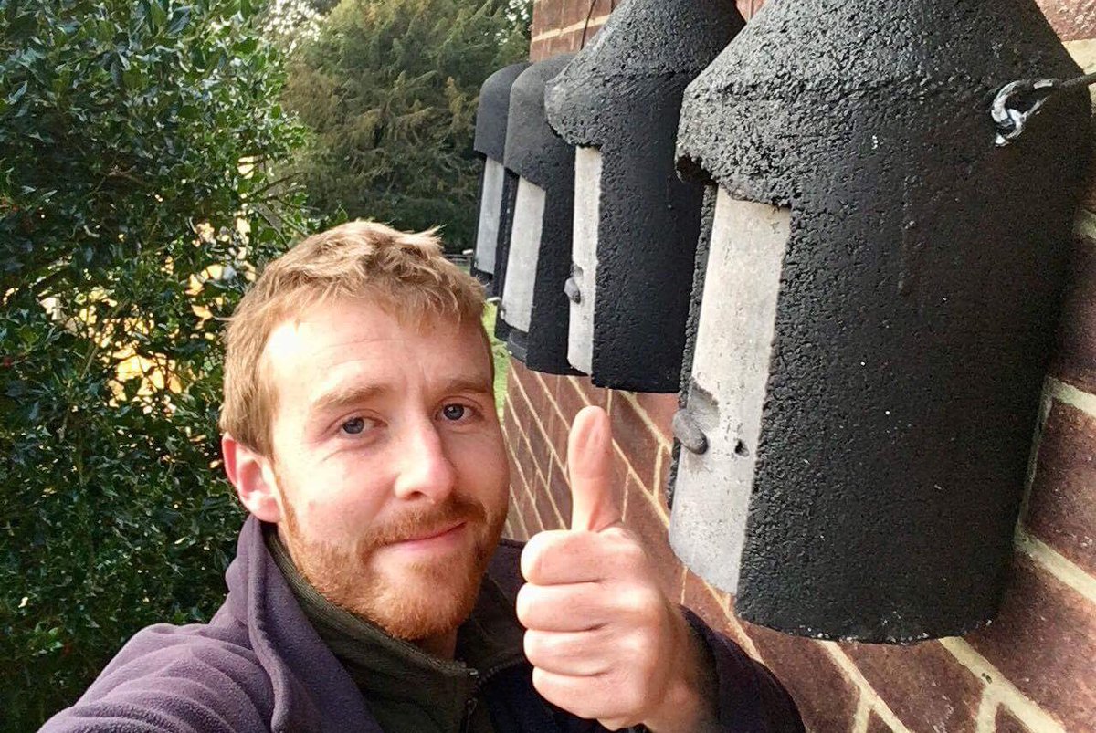 If every house put up just one bat box, it would make a huge difference. RT if you think more should be done to help our #bats #wecandomore