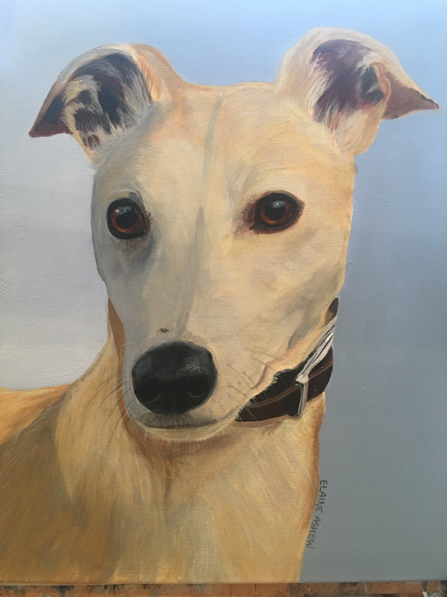 4pawsart's tweet image. ON THE EASEL - TOBY COMPLETE ...it all starts with the eyes :) To commission your own pet portrait -   Contact Elaine 4PawsArt.com @CHOICEnetworkin @NEFollowers  @thenortheastHUB  @doggie_diner_BH  @doggieplaces  @durhamhour @HSdirectSA
