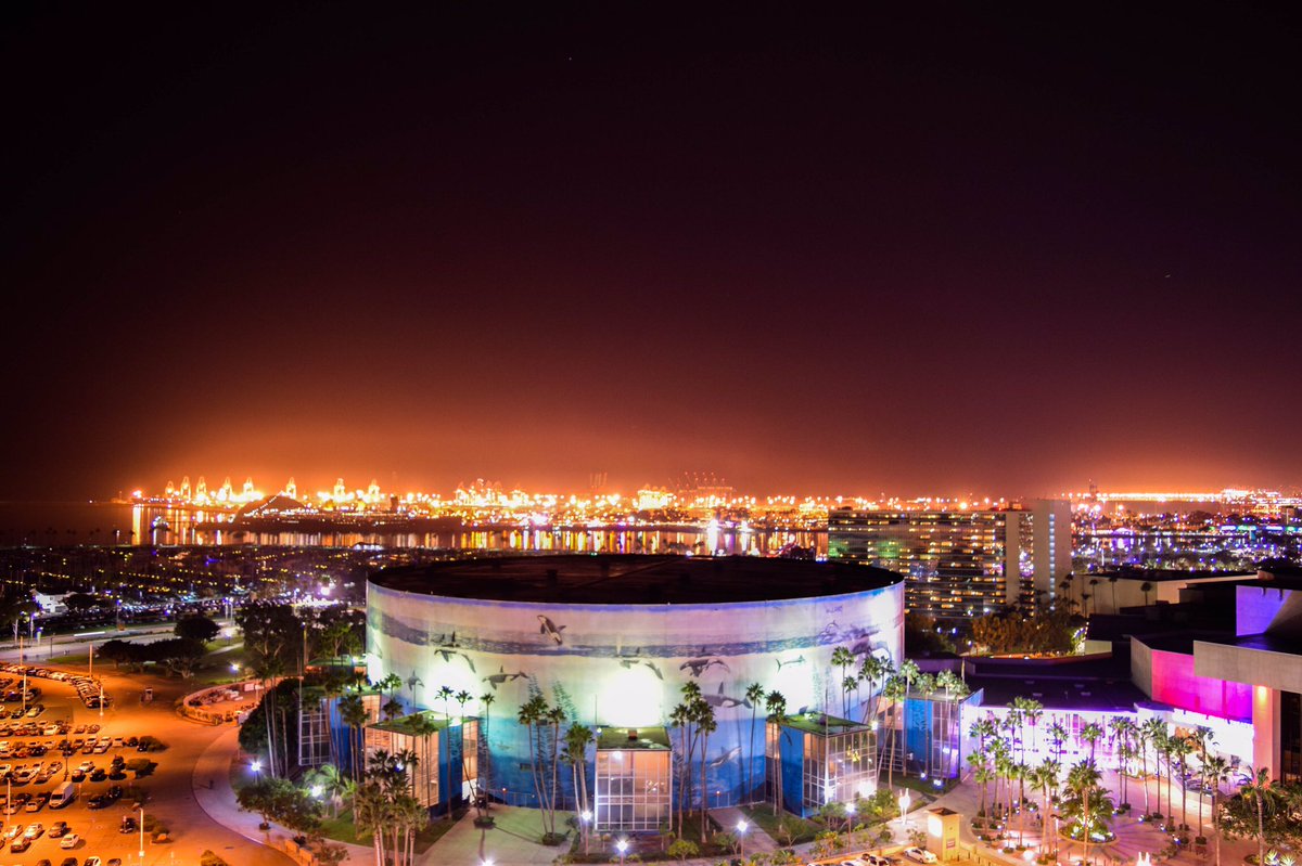 seeourbackyard's tweet photo. Weekends down in Long Beach are some of my favorites. #LongBeach #thisview #exploringourbackyard #weekends https://t.co/kiEACahvKI https://t.co/WLdoqQUumM